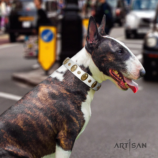 Bull Terrier convenient natural genuine leather dog collar with studs
