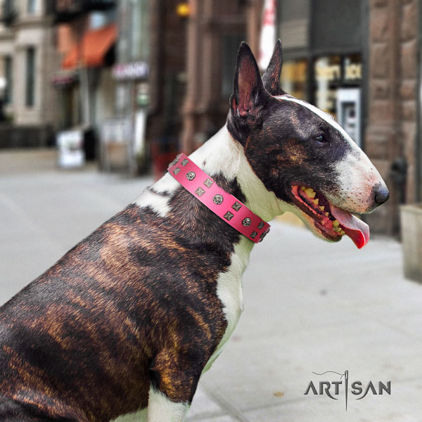 Bull Terrier stylish walking dog collar of exceptional quality leather