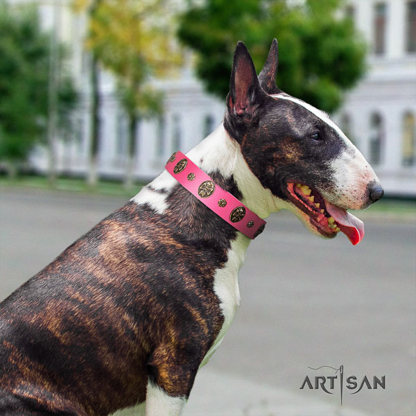 Bull Terrier adorned leather dog collar with embellishments