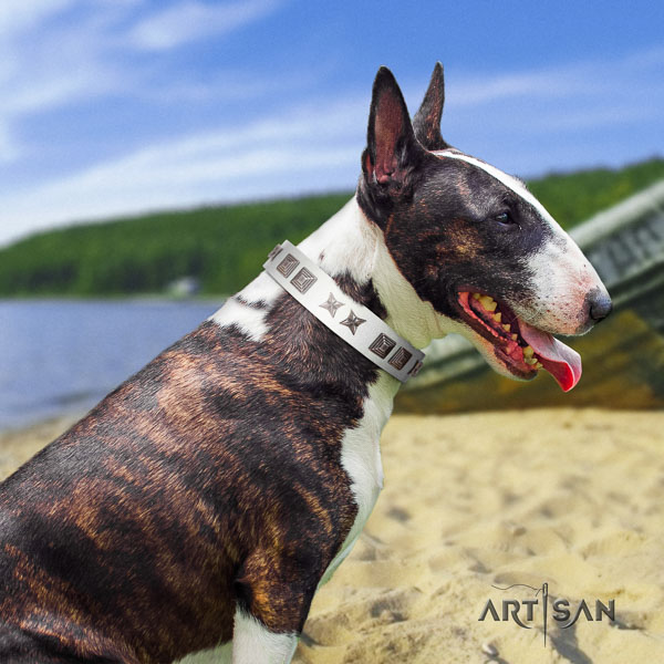 Bull Terrier everyday use dog collar of comfortable leather