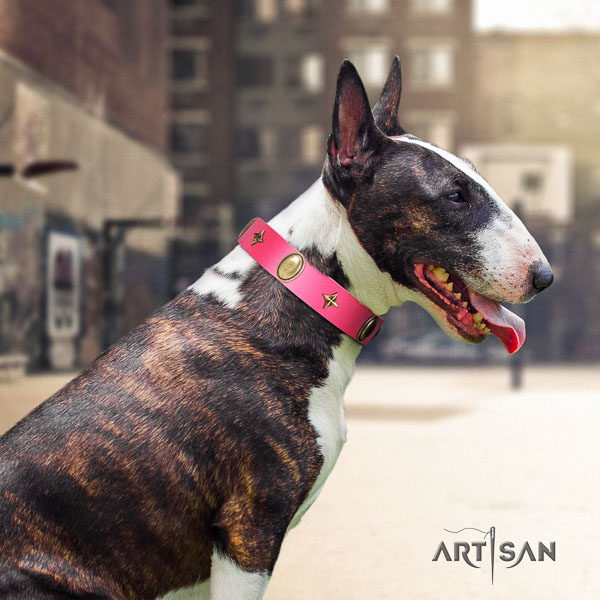 Bull Terrier comfortable wearing dog collar of trendy natural leather