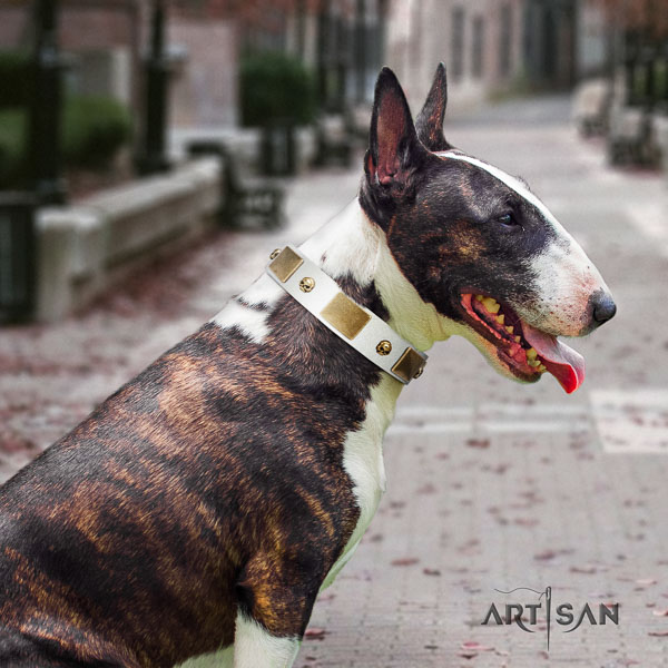 Bull Terrier easy wearing dog collar of incredible quality genuine leather