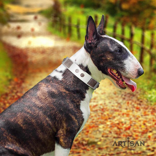 Bull Terrier easy wearing dog collar of flexible leather