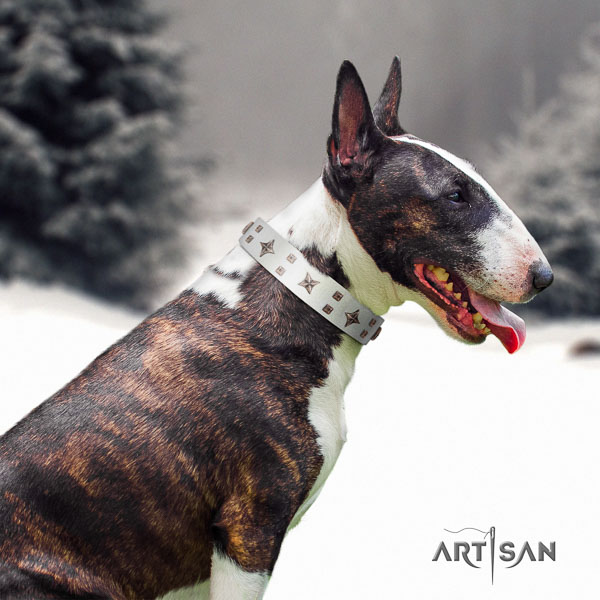 Bull Terrier everyday use dog collar of exceptional quality natural leather