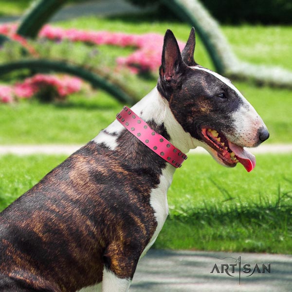 Bull Terrier fancy walking dog collar of trendy natural leather