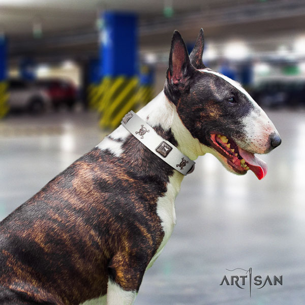Bull Terrier fancy walking dog collar of flexible leather