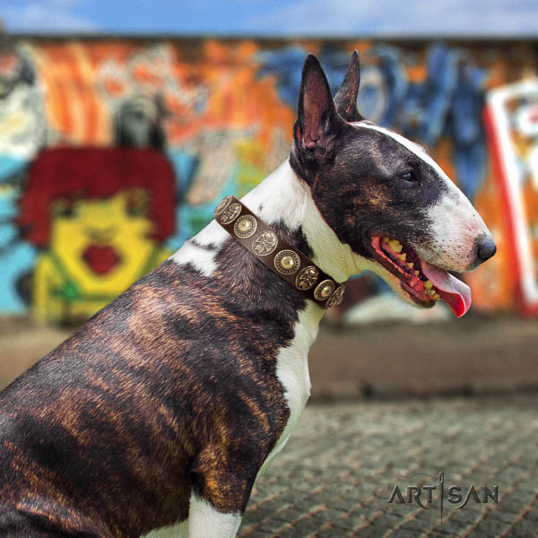 Bull Terrier exceptional genuine leather dog collar with studs