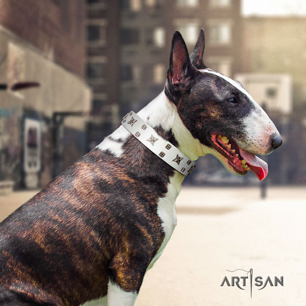 Bull Terrier handy use dog collar of trendy natural leather