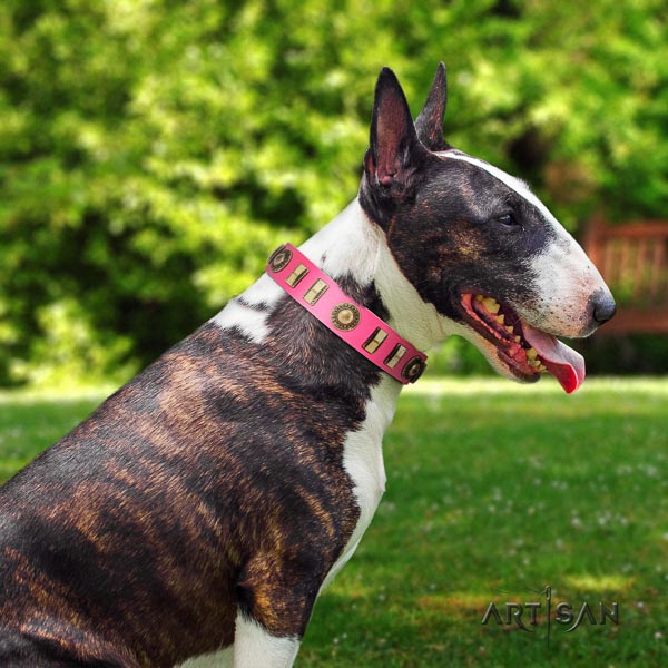 Bull Terrier designer natural genuine leather dog collar with decorations