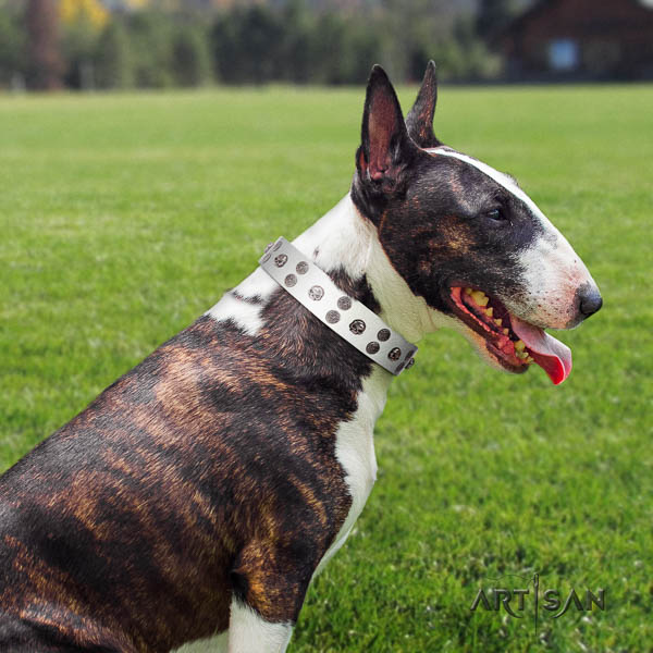 Bull Terrier basic training dog collar of incredible quality natural leather