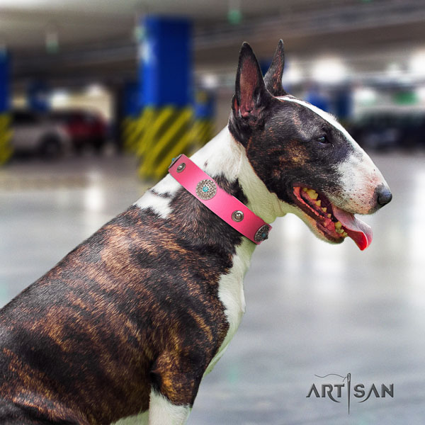 Bull Terrier everyday walking dog collar of top quality leather