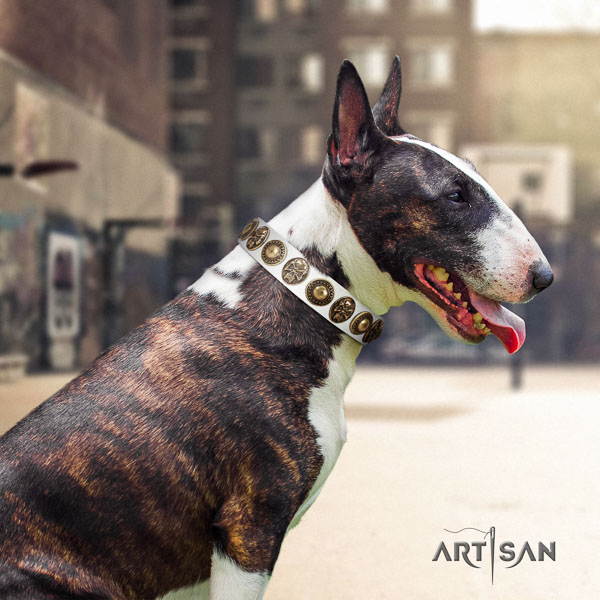 Bull Terrier unusual leather dog collar with embellishments