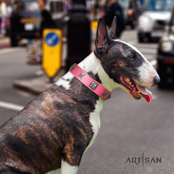 Bull Terrier walking dog collar of trendy leather