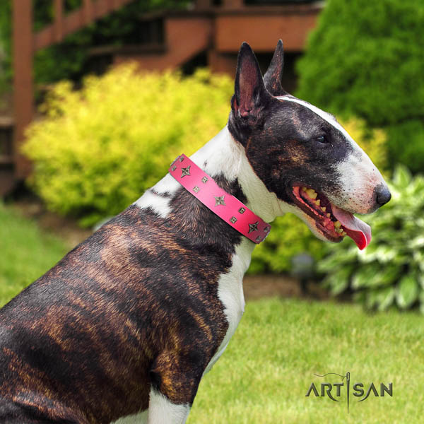 Bull Terrier easy wearing dog collar of remarkable quality natural leather