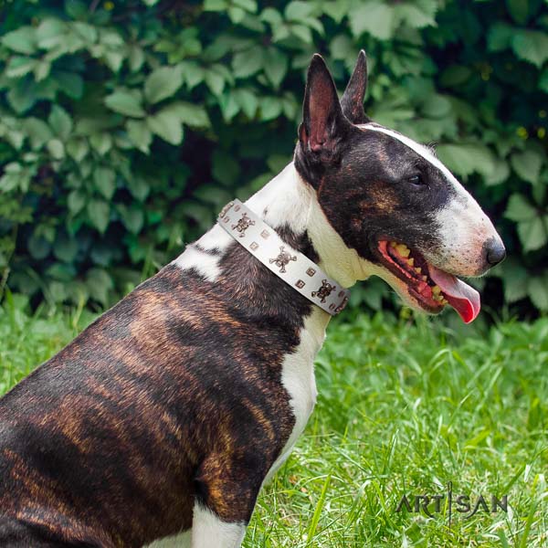 Bull Terrier stylish walking dog collar of exquisite quality genuine leather