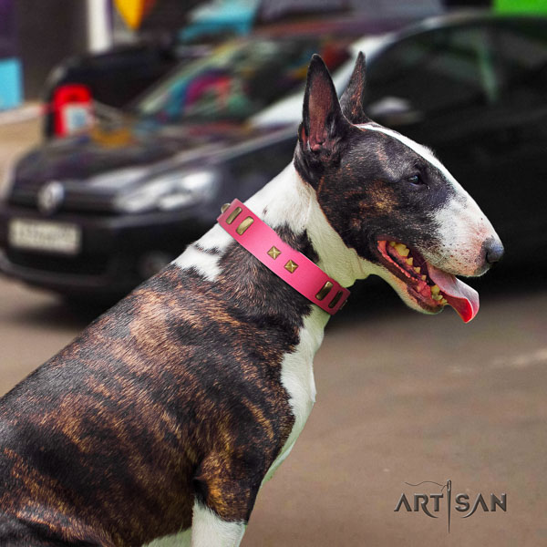 Bull Terrier everyday walking dog collar of top quality natural leather