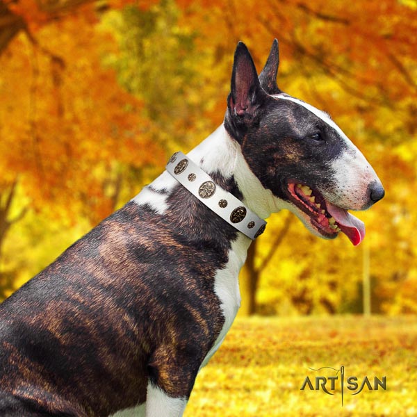 Bull Terrier adorned genuine leather dog collar with decorations