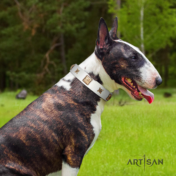 Bull Terrier stylish design leather dog collar with decorations
