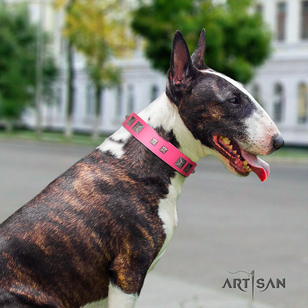 Bull Terrier daily use dog collar of comfortable natural leather