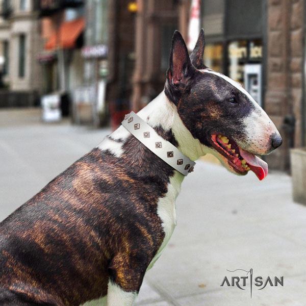 Bull Terrier walking dog collar of significant quality leather