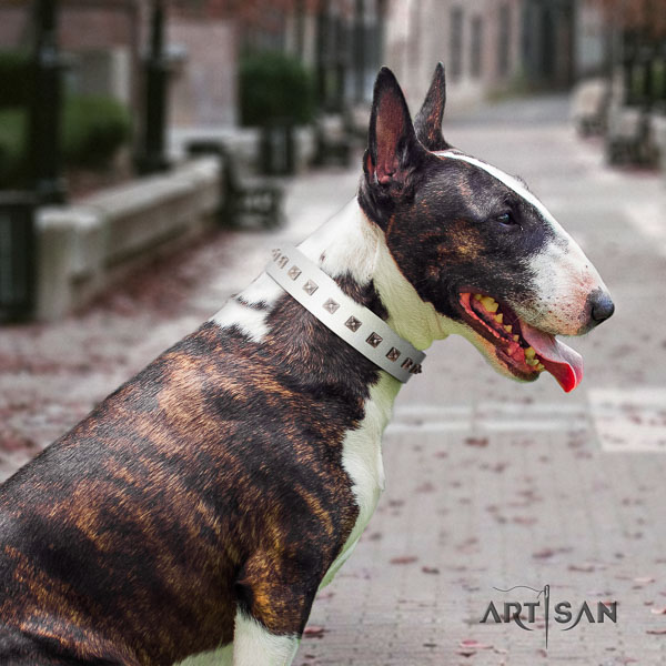 Bull Terrier everyday walking dog collar of exceptional quality natural leather