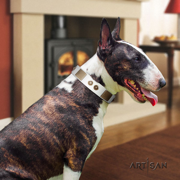 Bull Terrier exquisite natural genuine leather dog collar with embellishments