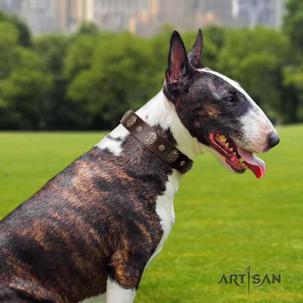 Bull Terrier convenient genuine leather dog collar with decorations