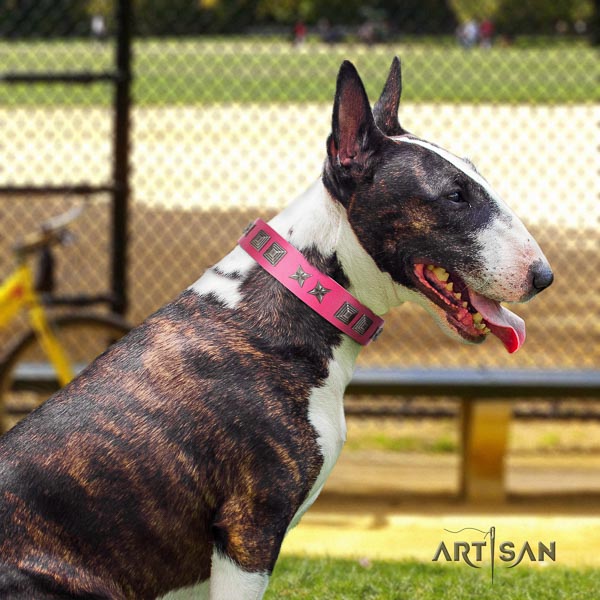 Bull Terrier comfortable wearing dog collar of awesome quality leather