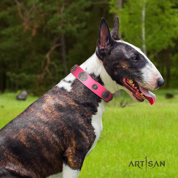 Bull Terrier stylish walking dog collar of fashionable genuine leather