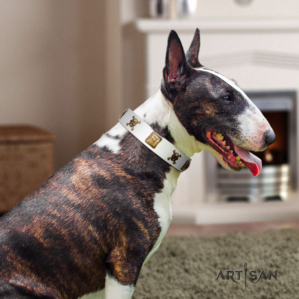 Bull Terrier extraordinary full grain natural leather dog collar with embellishments