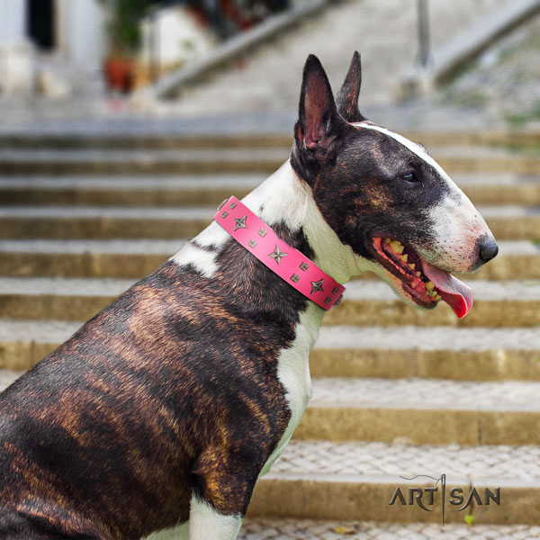 Bull Terrier comfy wearing dog collar of remarkable quality leather