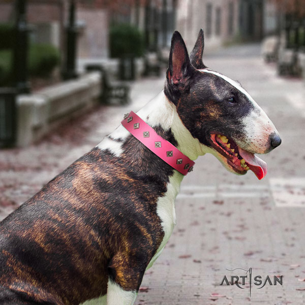 Bull Terrier everyday use dog collar of top notch quality natural leather