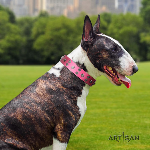 Bull Terrier everyday use dog collar of best quality genuine leather