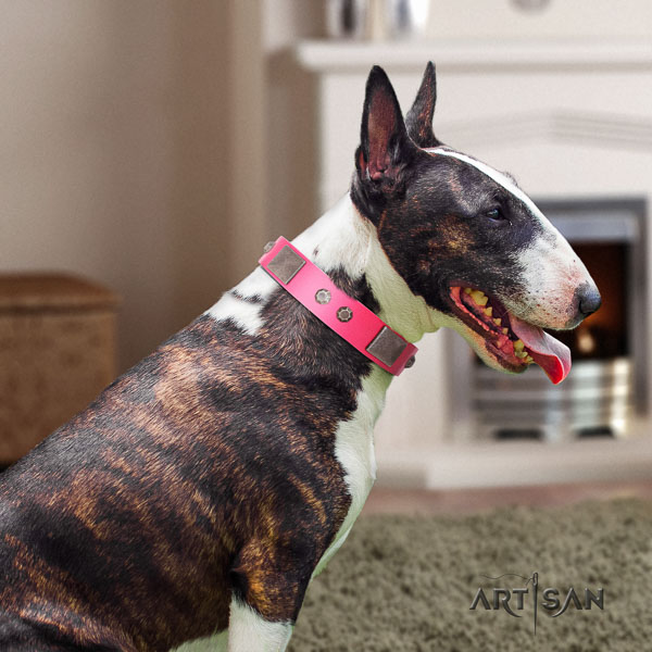 Bull Terrier basic training dog collar of best quality leather
