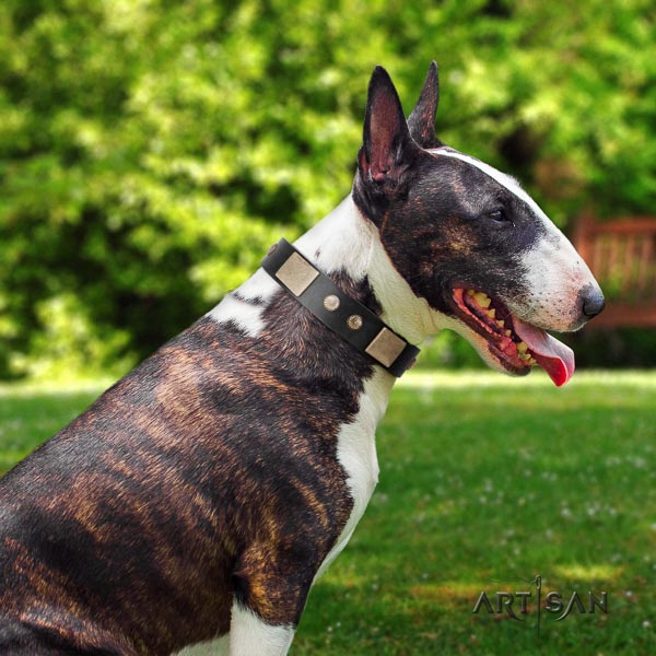 Bull Terrier decorated full grain leather dog collar with embellishments