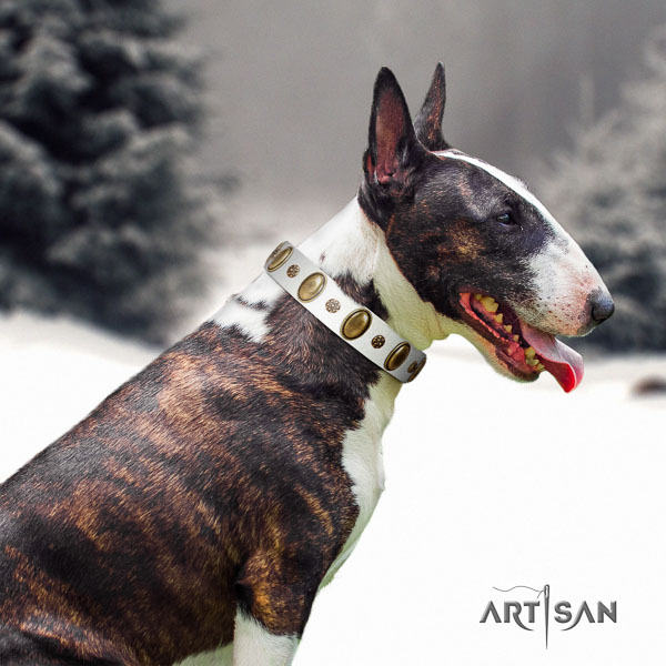 Bull Terrier easy to adjust full grain leather dog collar with decorations