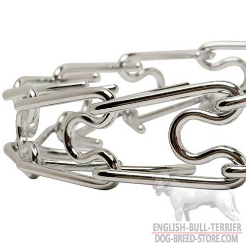 Chrome Plated Dog Collar for English Bull Terrier