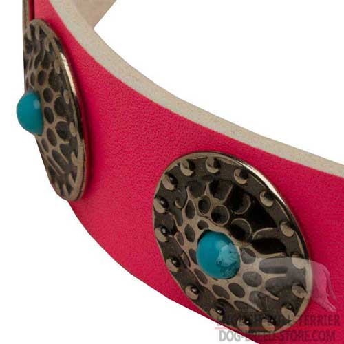 Conchos And Blue Stones On Stylish Leather Dog Collar