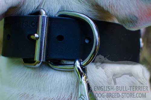 Reliable Nickel Plated D-Ring on Personalized Leather Dog Collar