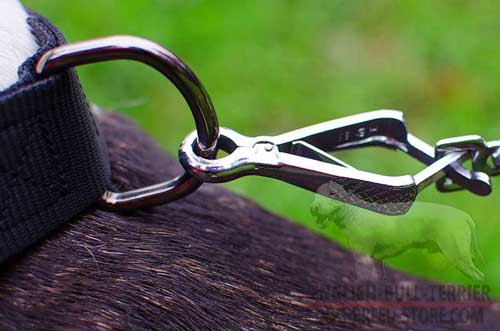 Rust Resistant Nickel Plated D-Ring on Nylon Dog Collar