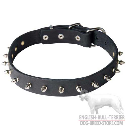 Firm Leather Dog Collar Decorated With 1 Row Of Nickel Spikes