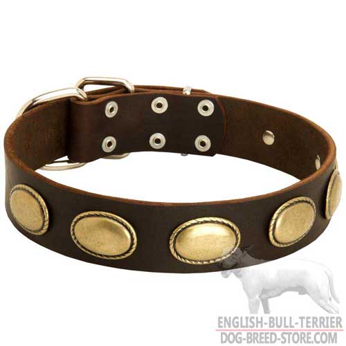 Leather Dog Collar Decorated With Wide Brass Plates