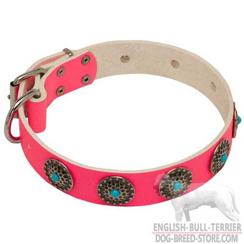 Pink Leather Dog Collar with Gorgeous Blue Stones Inserted Nickel Circles
