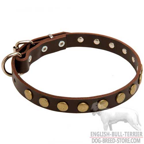 Outstanding Brown Leather Dog Collar Studded with Brass Circles
