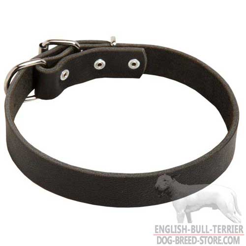 Classic Design Leather Dog Collar for Obedience Training