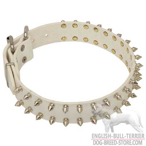 Exquisite White Leather Dog Collar with Nickel Decorations