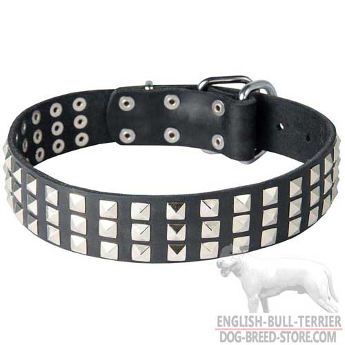 Leather Dog Collar Adorned with Nickel Plated Pyramids