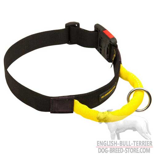 Off-Leash Training Nylon Dog Collar With Handle