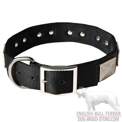 Wide Nylon Dog Collar with Strong Nickel Plated Buckle and D-Ring