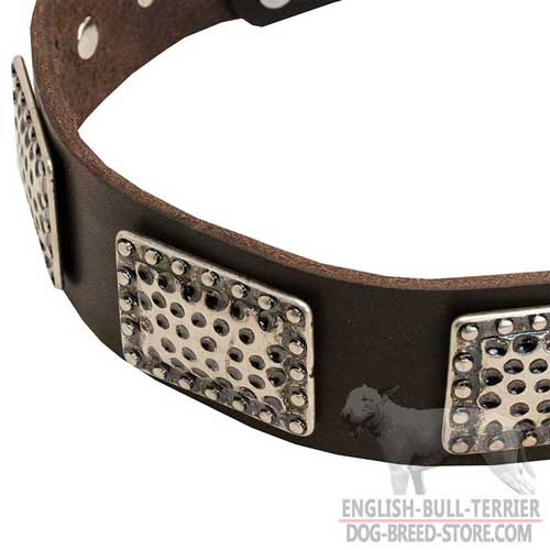 Bull Terrier Dog Collar, Perfect Look